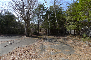 敷地全体/門西側から南方向を撮影