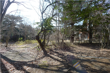 敷地全体/別棟1南側から西方向を撮影