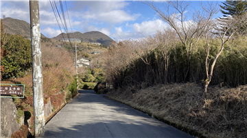 北側の接道