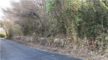 北側接道から敷地東方向を撮影