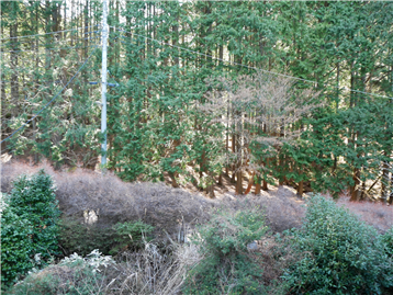 洋室4からの眺望/南西方向を撮影