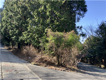 北側から敷地を撮影