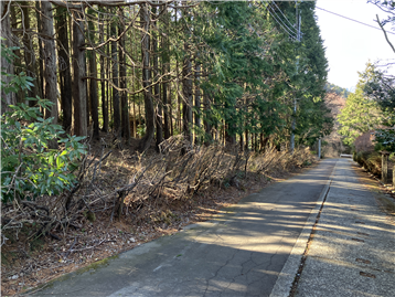 接道道路（東側）