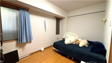 洋室（入口から撮影）