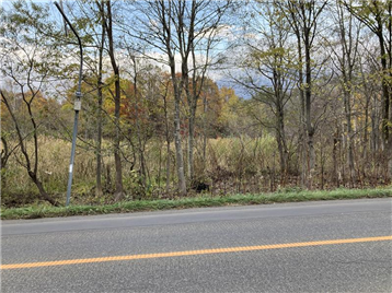 前面道路から北東方向を撮影