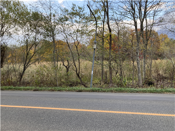 前面道路から北方向を撮影