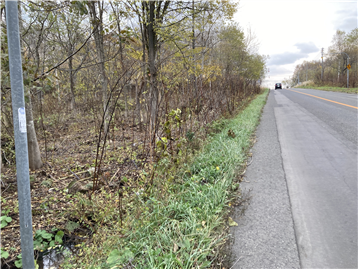 前面道路から敷地東方向を撮影