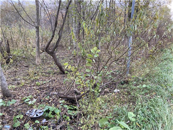 敷地南側から北東方向を撮影