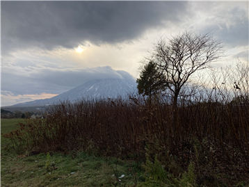 敷地から西方向に羊蹄山を望む