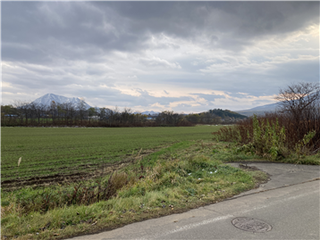 敷地南西側と尻別岳眺望／前面道路から南西方向を撮影
