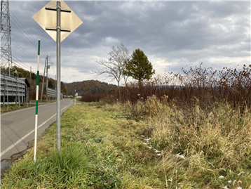 敷地南西側／北東方向を撮影