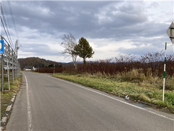 前面道路／西側から東方向を撮影