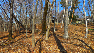 敷地内（北方向を撮影）