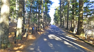 前面道路(北東側を撮影)