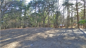 敷地内(西方向を撮影)