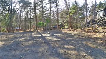 敷地内(西方向を撮影)