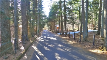 前面道路(南西方向を撮影)