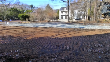 敷地内(南側から撮影)