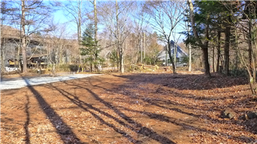 敷地内(南西側から撮影)