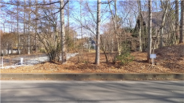 西側道路から敷地を撮影(東側を撮影)