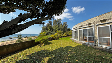 庭（南西方向を撮影）