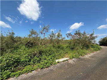 南東側道路から敷地を撮影