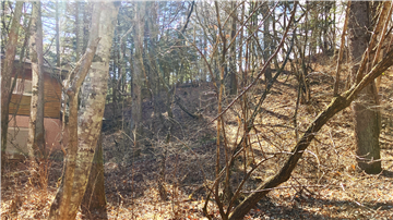 敷地（南西方向を撮影）