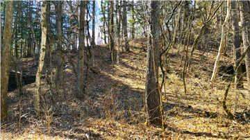 敷地（西方向を撮影）