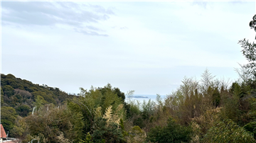 相模灘と初島を室内から遠望できます