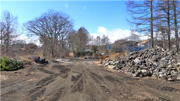 敷地内（南西側を撮影）