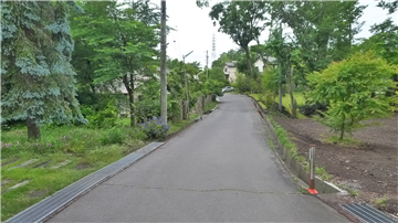 前面道路（南西側を望む）