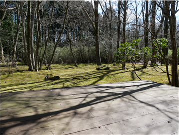 南東向きで陽が多く入るテラス