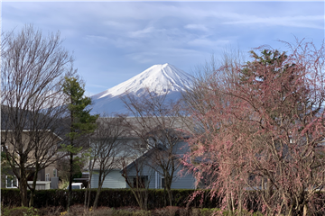 バルコニーからの眺望（南方向を撮影）