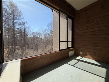 ＬＤＫからの景観（南西方向を撮影）※リフォーム・補修等前