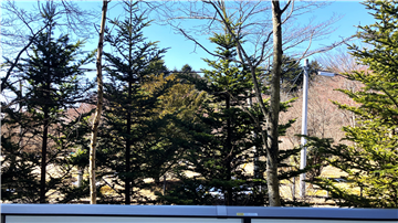 バルコニーからの眺望(南西方向を撮影)