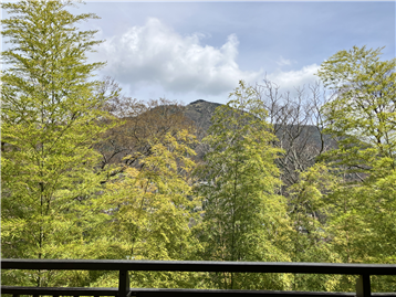 バルコニーからの明神ヶ岳の眺め