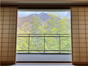 リビングからの明神ヶ岳の眺め