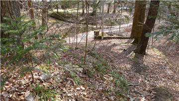 敷地内（南方向を撮影）