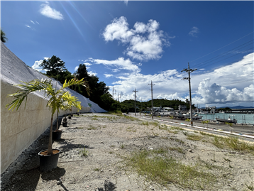 敷地／南西方向を撮影