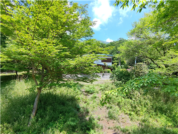 敷地内南側から北東方向を撮影
