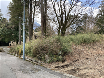 前面道路と敷地入口