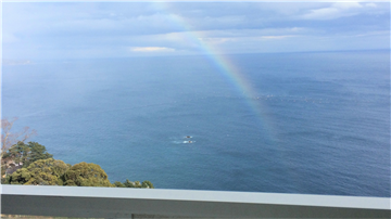 眼下に相模灘を見渡せます/バルコニーより東側を撮影