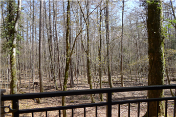 眺望／バルコニーより撮影