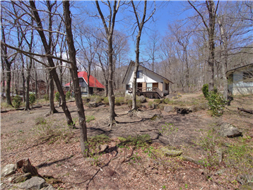 敷地内東側より建物方向
