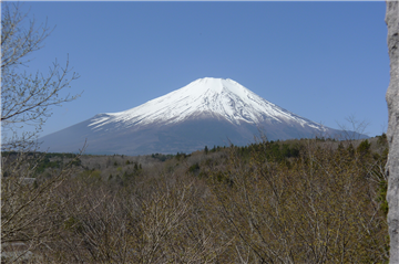 【山中湖】 テルゾ山中湖
