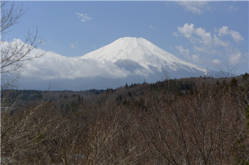 ＬＤＫからの眺望