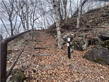 約40段のアプローチ