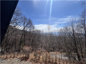 ２階洋室からの眺望（南方向を撮影）