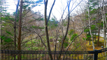 テラスからの眺望(西方向を撮影)