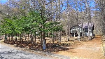 前面道路から見た敷地(南東側から撮影)